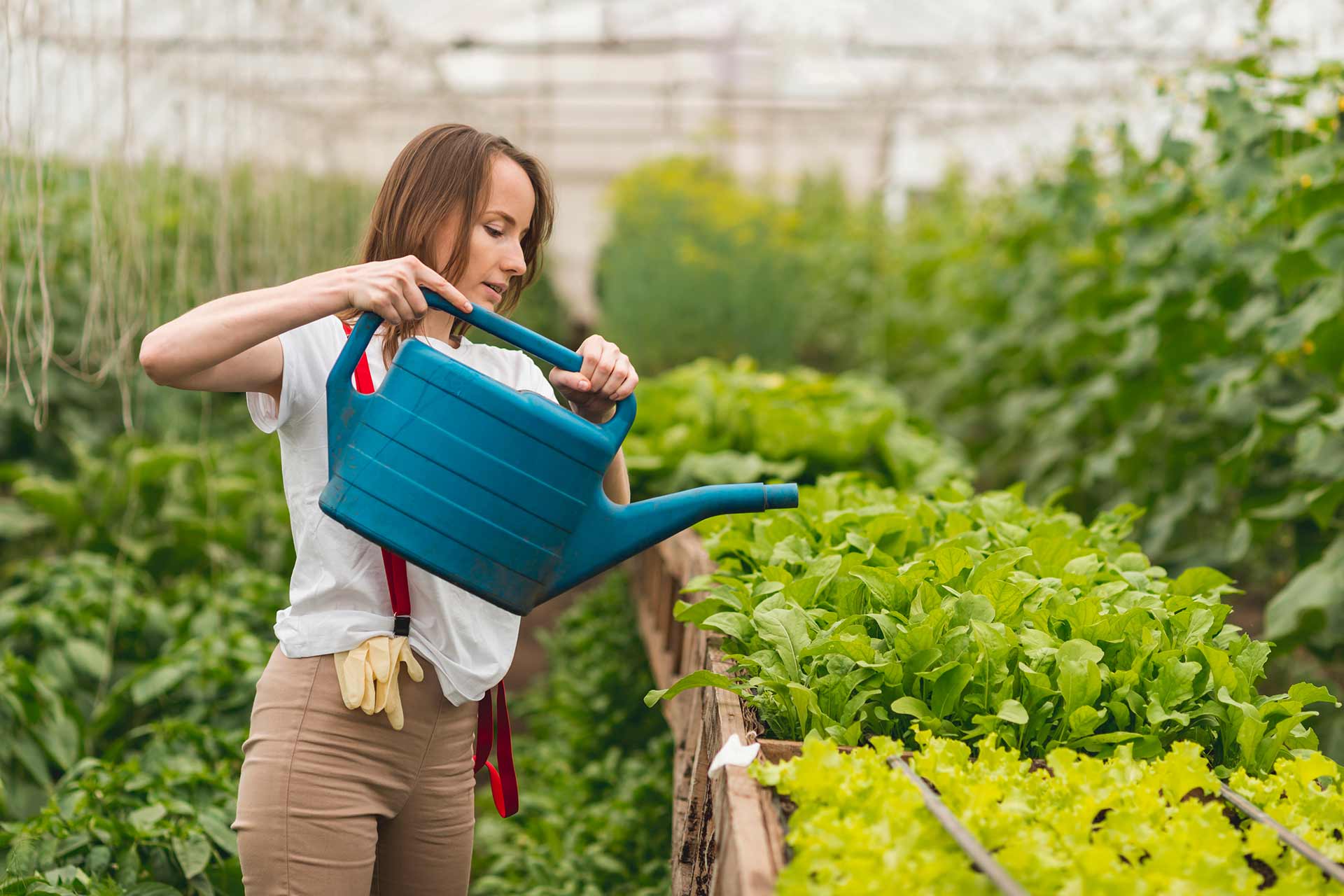 Eco-Friendly Landscaping Ideas You Can Start Today